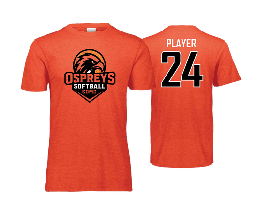 SOMD Osprey - 2025 - DTF | Unisex Tri-Blend Tee