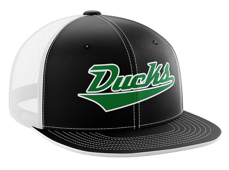 Diamond State Ducks - 'Script' Logo Hat
