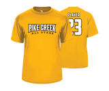 Pike Creek All Stars - DTF Unisex Short Sleeve Performance Tee