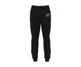 Chesapeake Blue Claws - DTF | Unisex Joggers