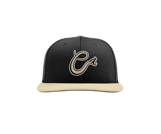 Copperheads - Richardson PTS20 Hat