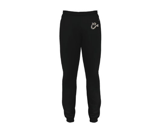 Copperheads - DTF | Unisex Joggers