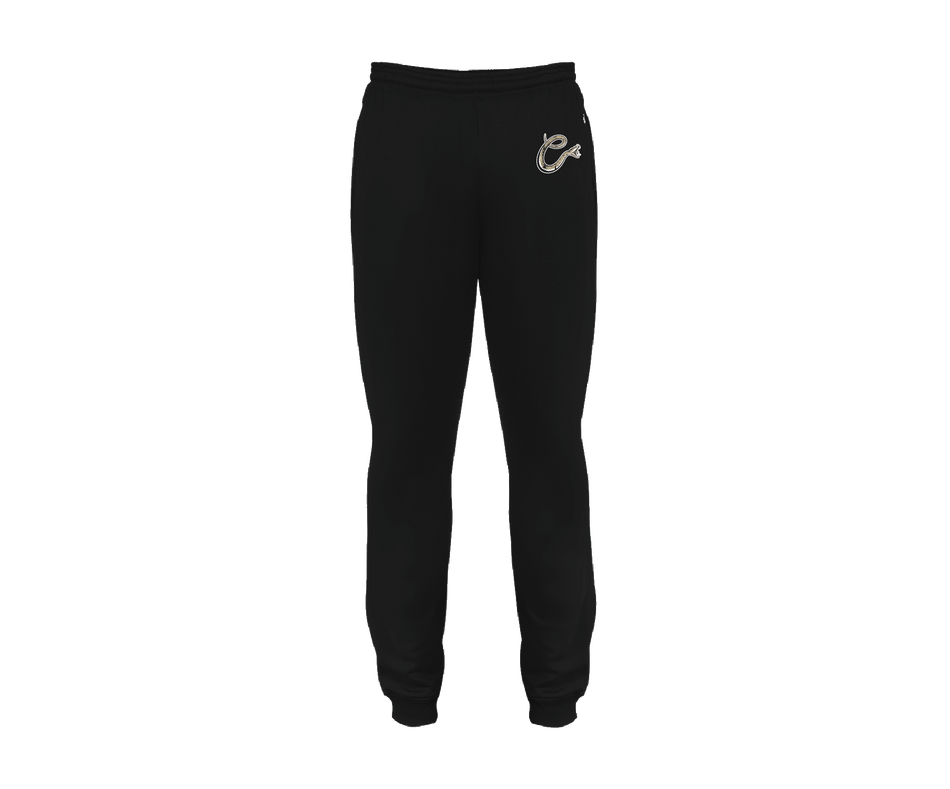 Copperheads - DTF | Unisex Joggers