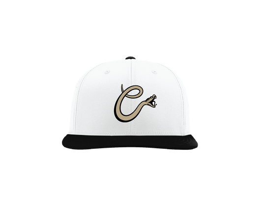 Copperheads - Richardson PTS30 Hat