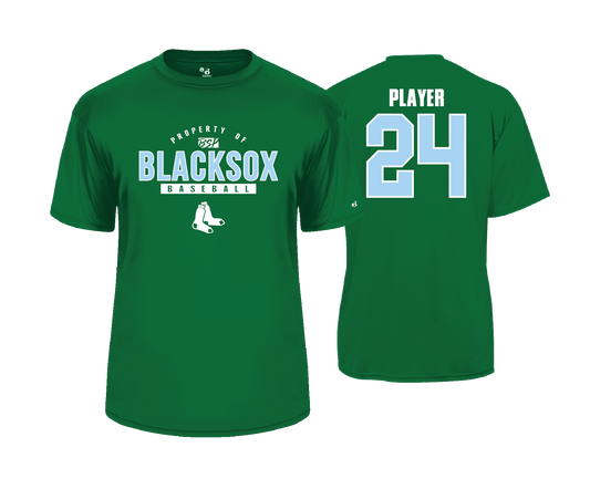 BSP Blacksox - 2025 - DTF | Unisex Short Sleeve Performance Tee