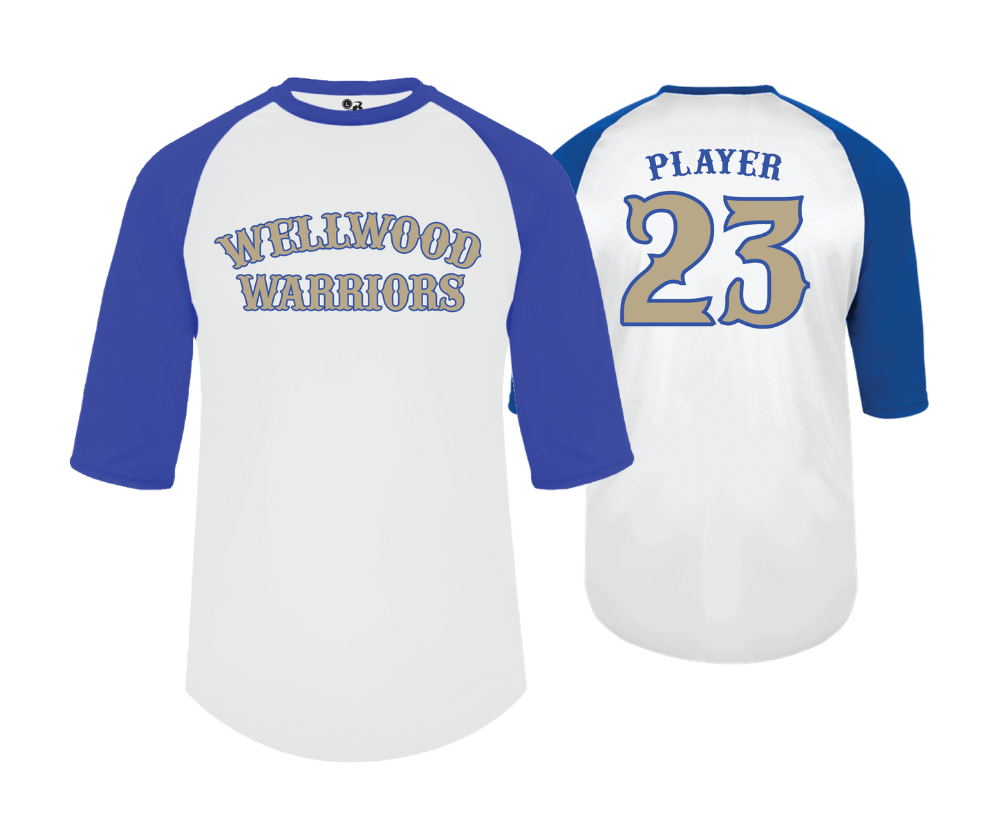 Wellwood Warriors - DTF | Men's Performance Baseball Tee
