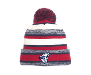 Chestertown Christian Academy - New Era® Pom Beanie