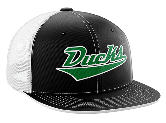 Diamond State Ducks - 'Script' Logo Hat