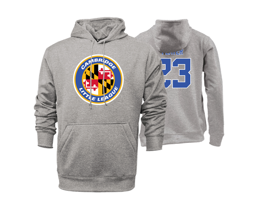 Cambridge LL - DTF Unisex Hoodie