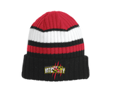 MD Integrity - Beanie